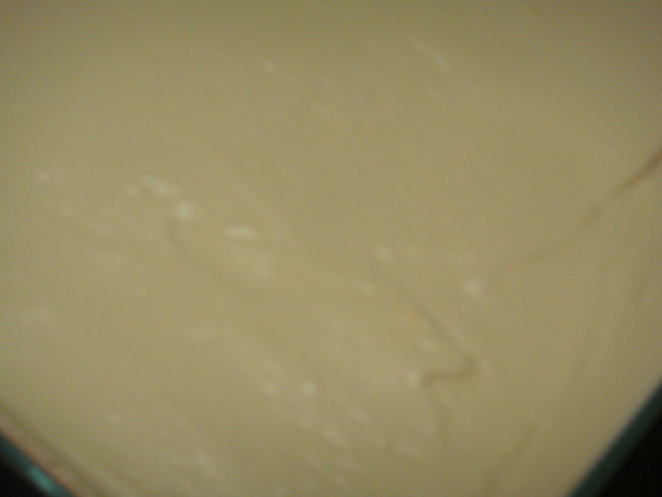 DSC01237.JPG