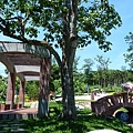p207.jpg