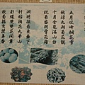 p224.jpg