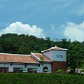 p232.jpg