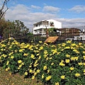 p234.jpg