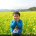 油菜花田裡的美容操-1 拍拍臉.JPG