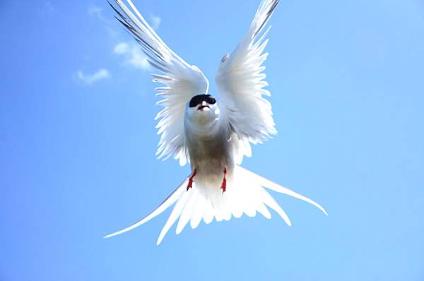 DSC_5658.JPG DSC_5658.JPG