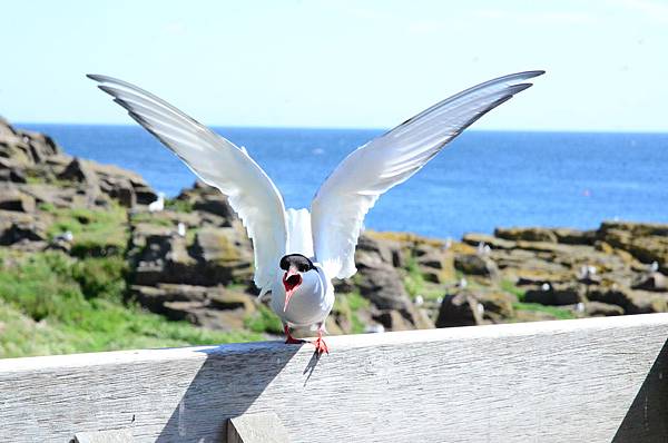 DSC_5639.JPG DSC_5639.JPG