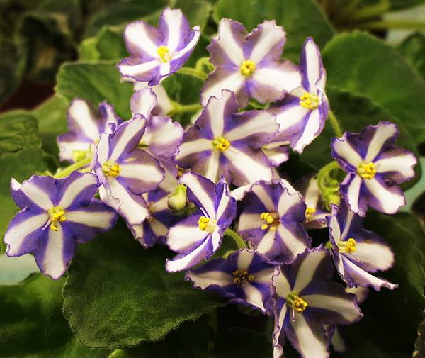 7_belok.jpg 7_belok.jpg