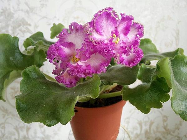 a49f81fb44b7a9fdbbe315ccb438.jpg a49f81fb44b7a9fdbbe315ccb438.jpg