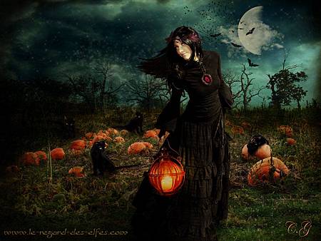 samhain.jpg samhain.jpg