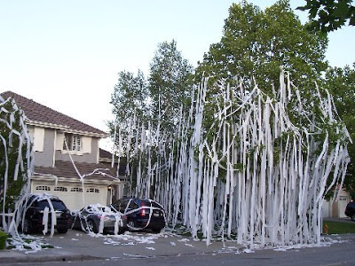 Toilet Papering -down the street - April 2008 001