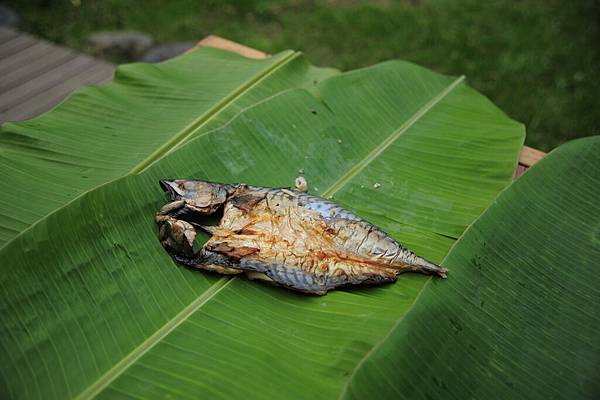 烤鯖魚美味無與倫比.JPG