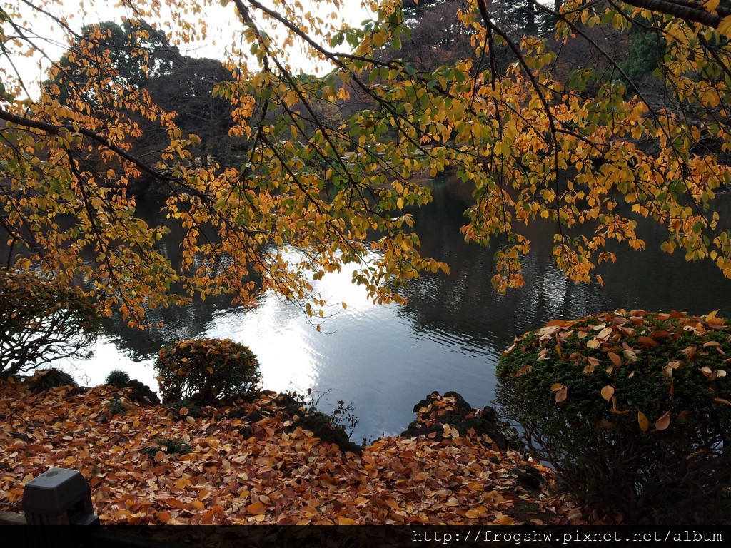 20131204_134742 [最大闊度 1024 最大高度 768]