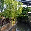 DSC_2641.JPG