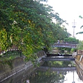 DSC_2643.JPG