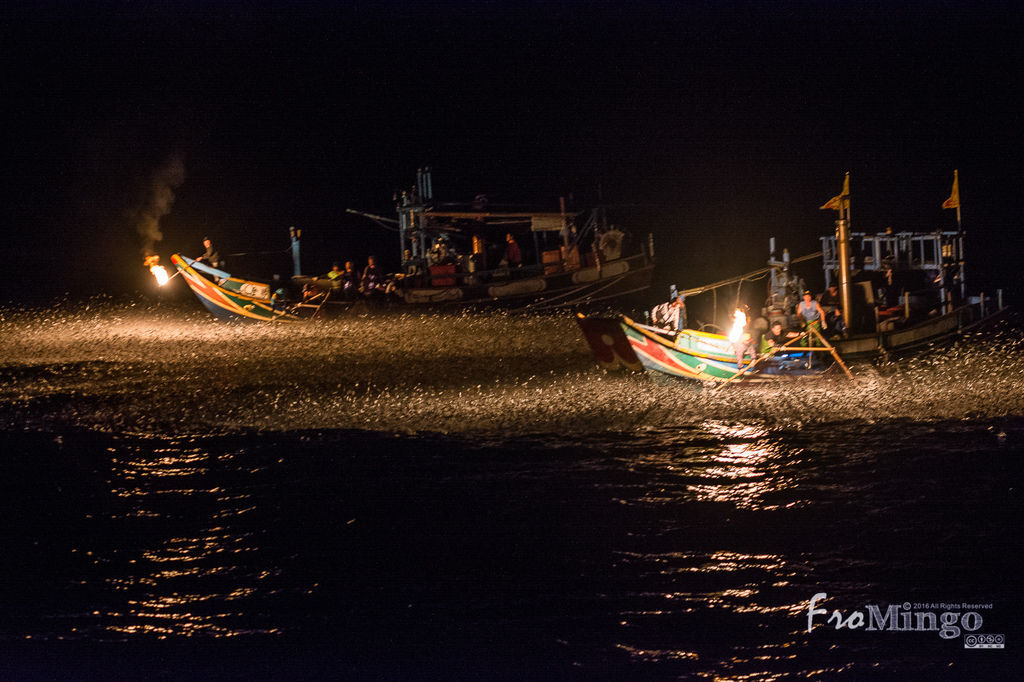 DSC_7267.jpg DSC_7267.jpg