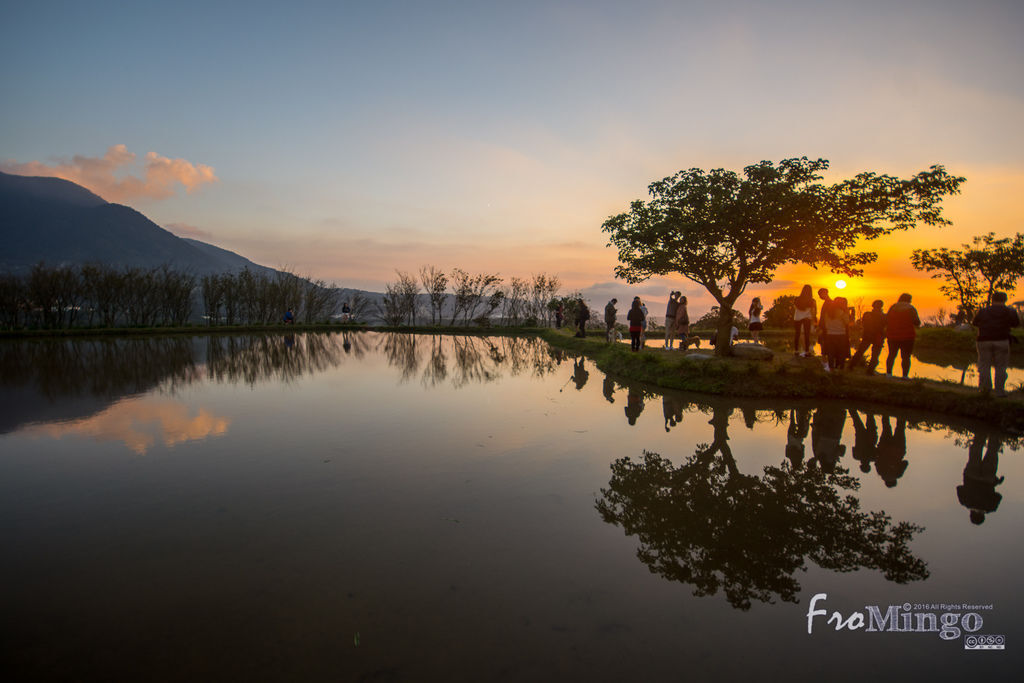 DSC_1381.jpg DSC_1381.jpg