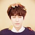 KyuHyun Poster (落葉)