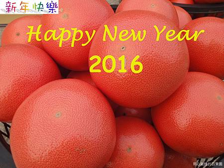 2016新年快樂 2016新年快樂
