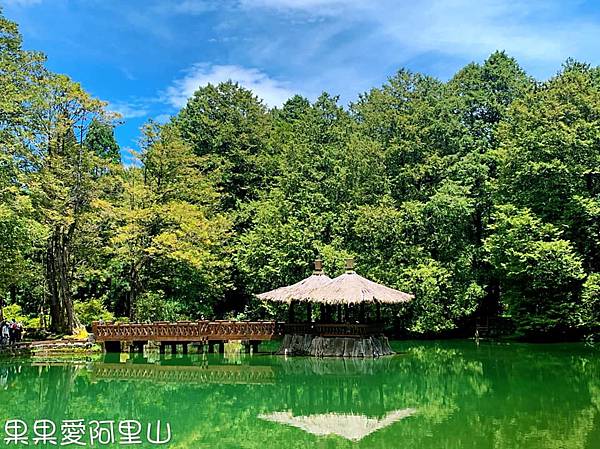 阿里山國家風景區,森林小火車,神木,姊妹潭,慈雲觀景,沼平公園,受鎮宮,嘉義,阿里山,國家森林遊樂區,小火車,雲海,森林,百岳,步道,日出,溪流,湖泊,車站,鐵道,鐵路,博物館