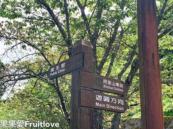 嘉義 阿里山國家風景區 享受大自然的藝術創作與滿滿芬多精 四季都有不同的魅力 輕旅行 嘉義 阿里山國家風景區 享受大自然的藝術創作與滿滿芬多精 四季都有不同的魅力 輕旅行