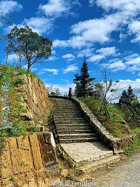 雲嶺之丘,竹筍,竹林步道,連心池瀑布,三角點觀日平台,木馬古道,茶園,雲林,古坑,雲海,夕陽,日出,森林,竹林,步道,健行,百岳,瀑布,三角點
