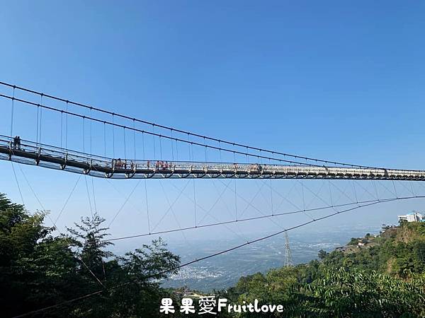 嘉義,阿里山,雲之南道,步道,雲之南道步道,拍照,打卡,寵物友善,太平雲梯,茶園,嘉義景點