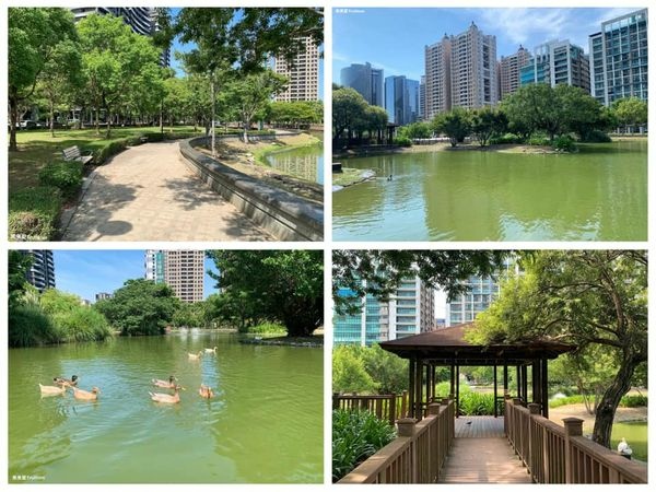 水圳森林公園,湖泊,景觀步道,涼亭,新竹竹北,親子友善,寵物友善,新竹,竹北,親子