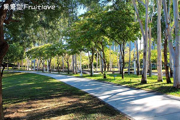 台中,南屯區,文心森林公園,親子,公園,台中景點