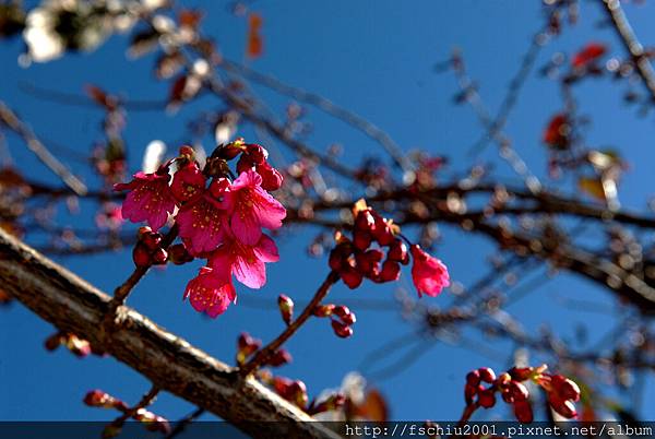 DSC_2827_調整大小.jpg
