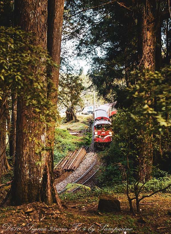 遊記 開車上阿里山來回5h 走走拍拍5h 飄在人間 痞客邦