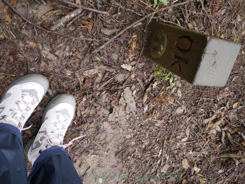 P1330679.jpg P1330679.jpg