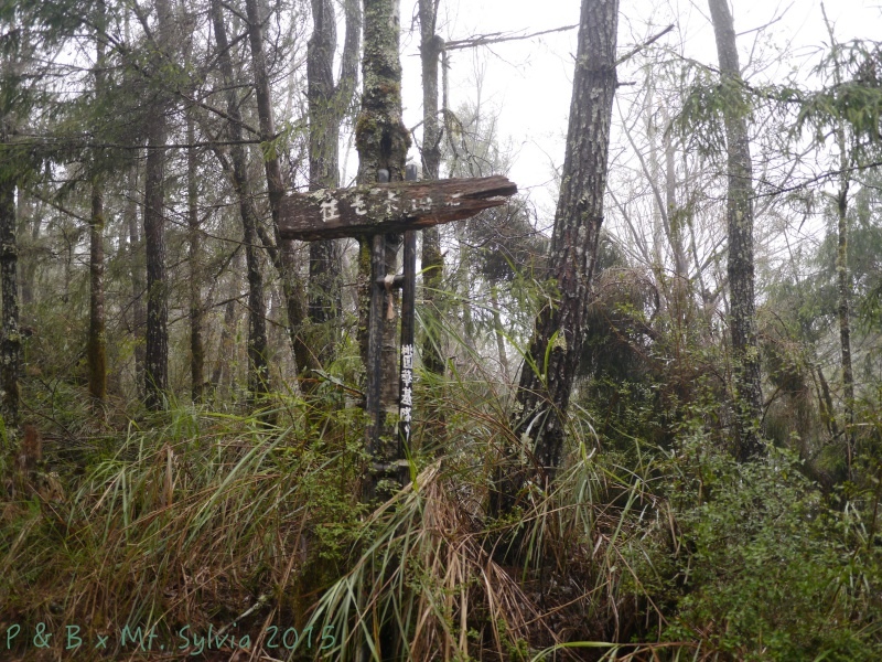 P1330683.jpg P1330683.jpg