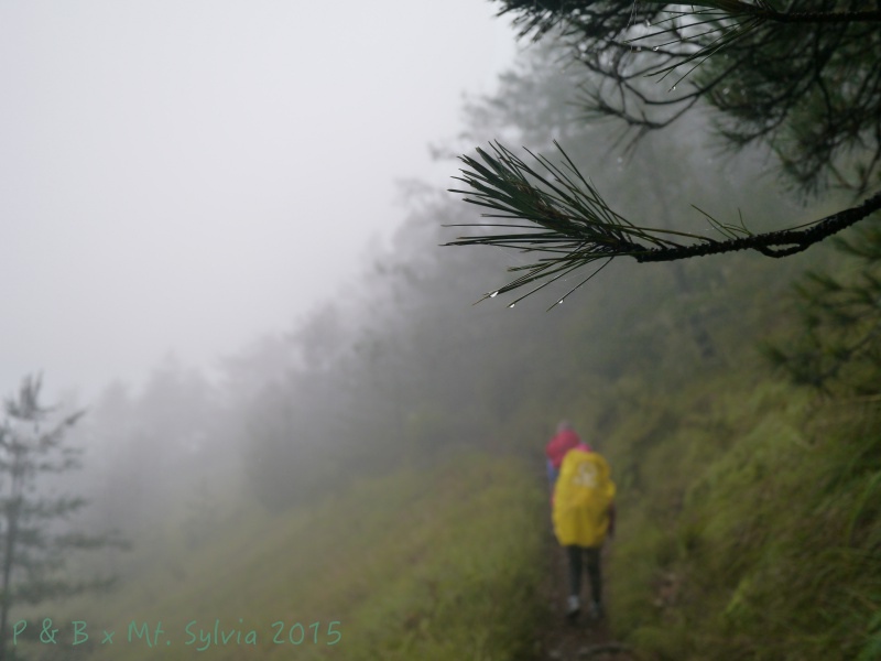 P1330723.jpg P1330723.jpg