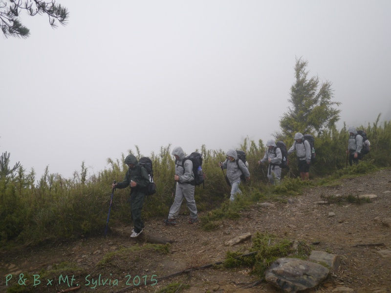 P1330745.jpg P1330745.jpg