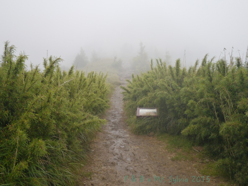 P1330748.jpg P1330748.jpg