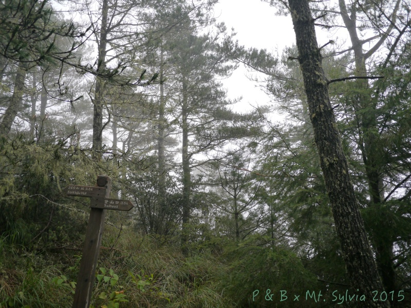 P1330728.jpg P1330728.jpg