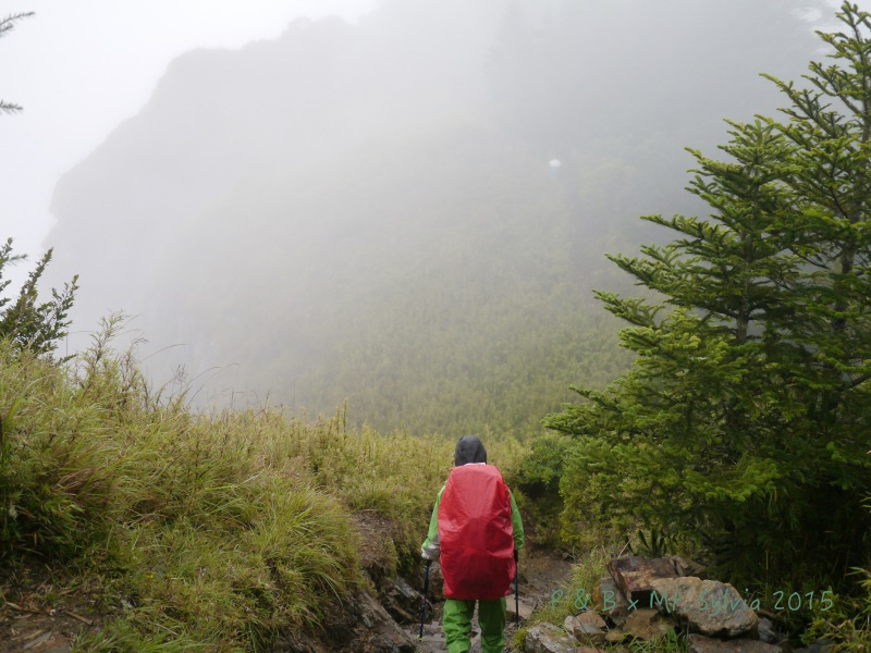 P1330757.jpg P1330757.jpg