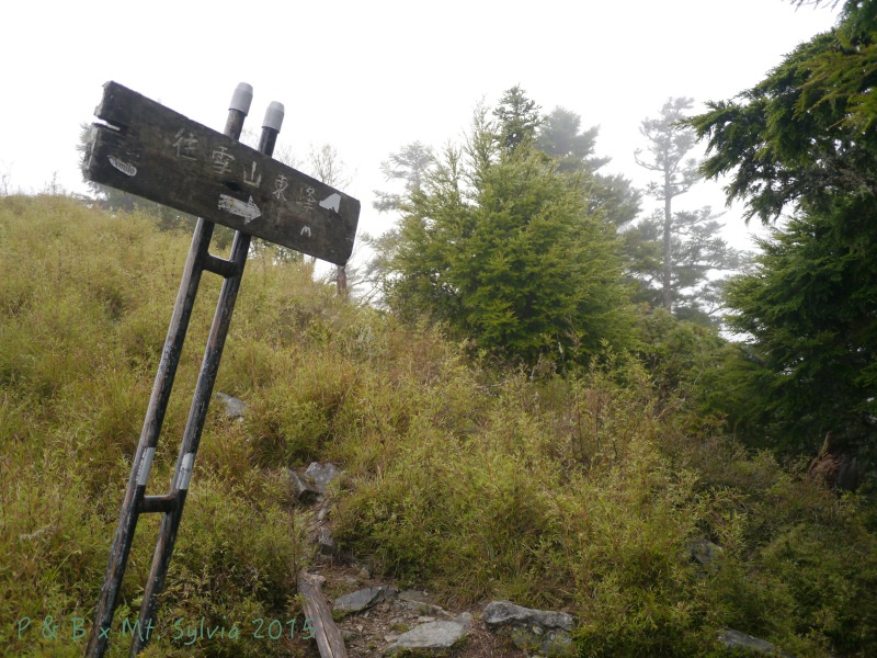 P1330755.jpg P1330755.jpg