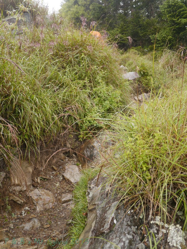 P1330760.jpg P1330760.jpg