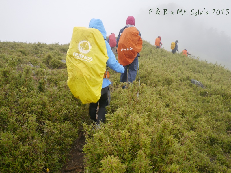 P1330785.jpg P1330785.jpg