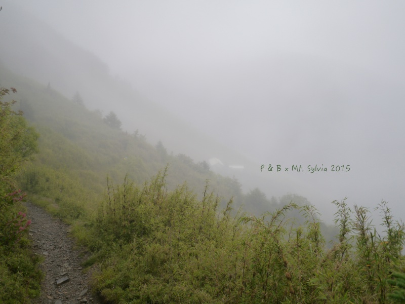 P1330815.jpg P1330815.jpg