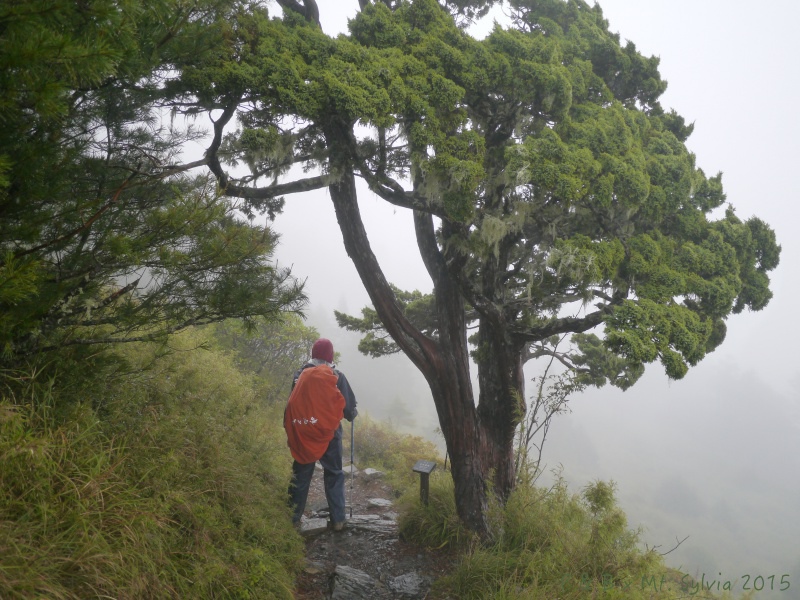 P1330807.jpg P1330807.jpg