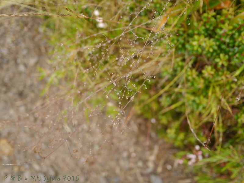 P1330816.jpg P1330816.jpg