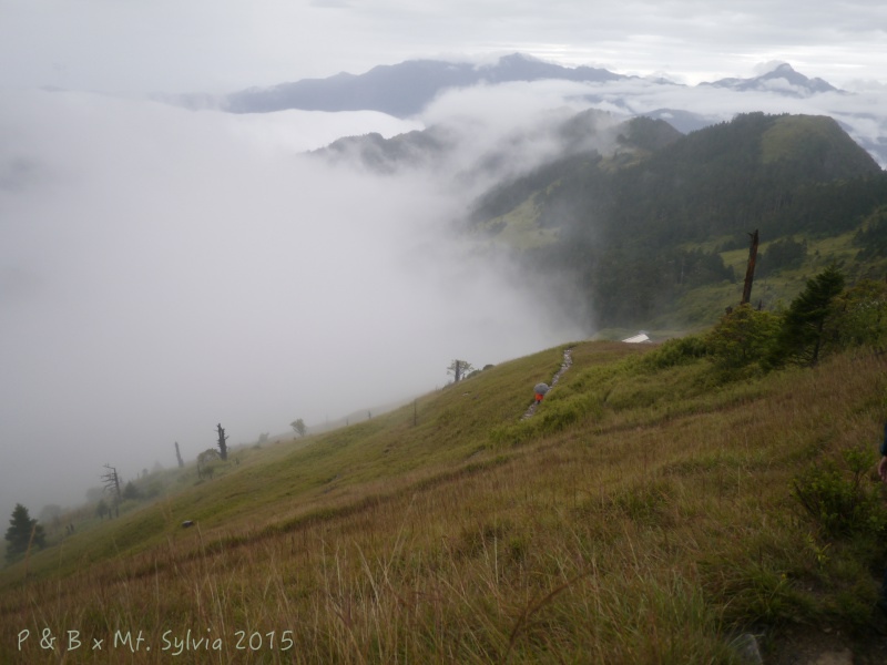 P1330853.jpg P1330853.jpg