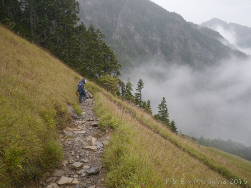 P1330862.jpg P1330862.jpg