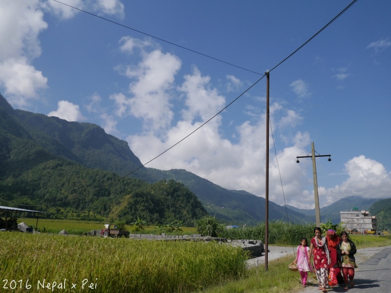 P1360982.jpg P1360982.jpg