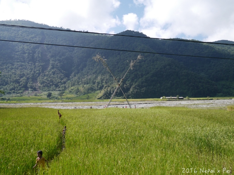 P1360984.jpg P1360984.jpg