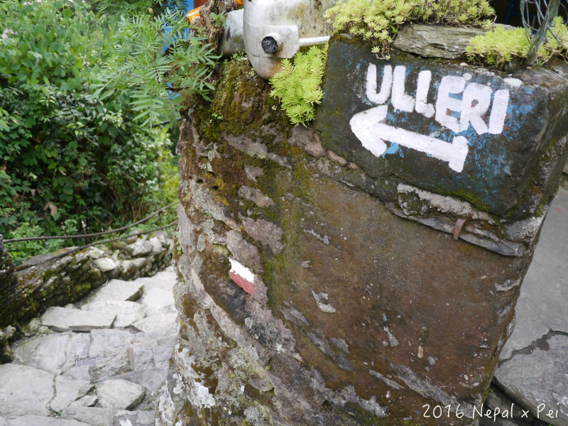 P1390051.jpg P1390051.jpg