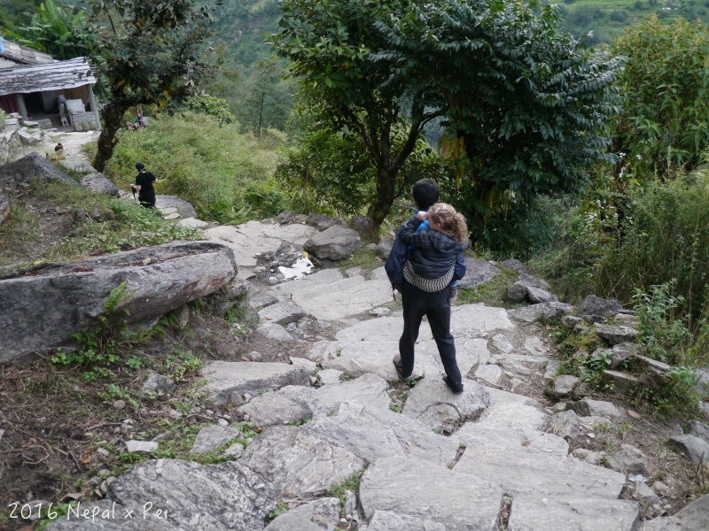 P1390060.jpg P1390060.jpg