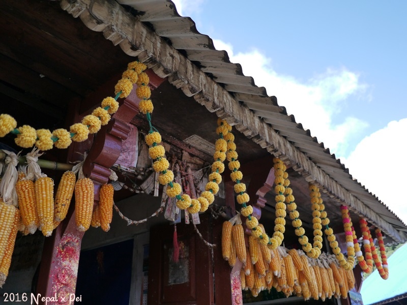 P1390121.JPG P1390121.JPG