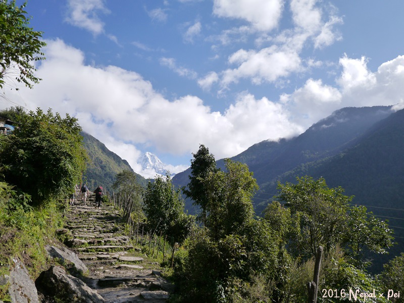 P1390118.JPG P1390118.JPG