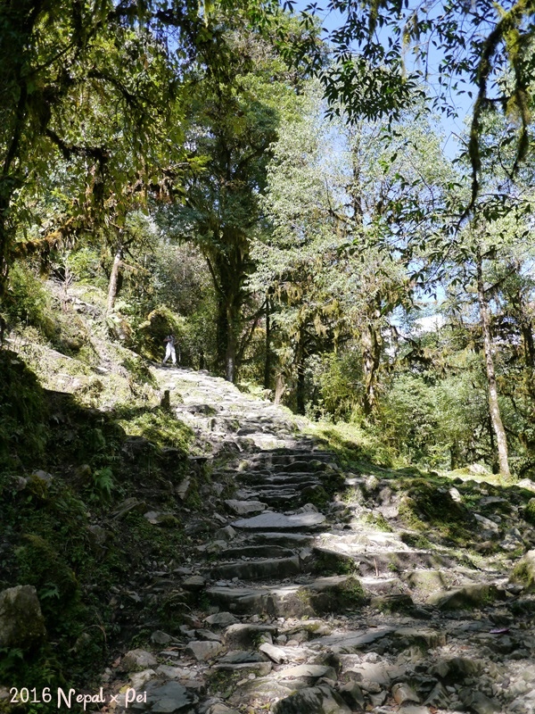 P1390127.JPG P1390127.JPG